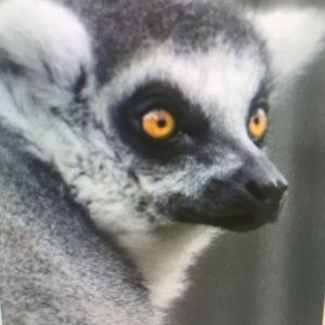 Meet your Posher, Logan